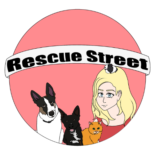 Rescue Street