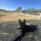 Maverick (was LeRoy)