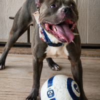 Stitch with ball