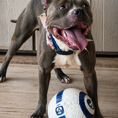 Stitch with ball