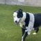 Tux (was Eldredge)