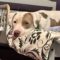 Patches (formerly Domo)